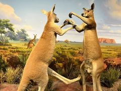 -陕西自然博物馆