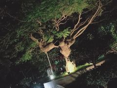-金穗园温泉酒店