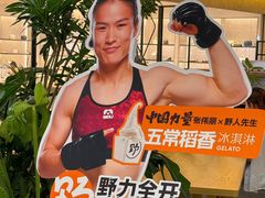 -野人先生Gelato(上海长宁龙之梦店)