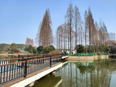 -黄兴公园