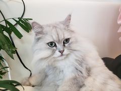-小时光咖啡馆(北锣鼓巷店)