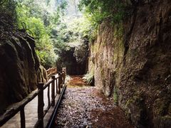 -南丹山森林王国
