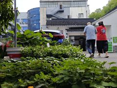-苏州市皮市街花鸟工艺品市场