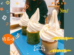 -茶是一枝花泡茶店