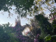 -曼听御花园