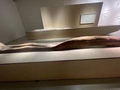 -上海当代艺术博物馆