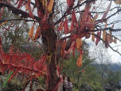 -叠溪松坪沟景区