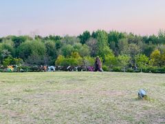 -莫子山公园