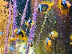 -沈阳海洋探索中心