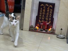 -玉椰林甜品店(创始店)