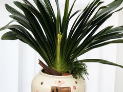 -F.Story 花和故事(新天地店)