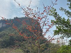 -靖西鹅泉风景区