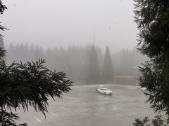 -武陵山森林公园