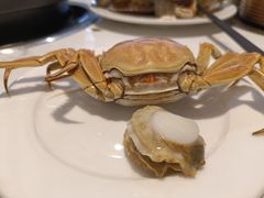 -半岛听涛蒸汽海鲜自助(K11店)
