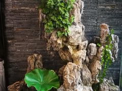 -知足堂养生会所(碑亭巷店)