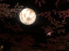 -蓝鲸湾汤泉(包河店)