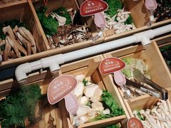 -温野菜涮涮锅(西单大悦城店)