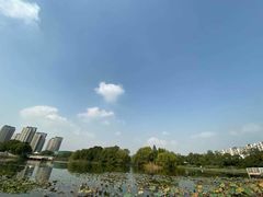 -新江湾城公园