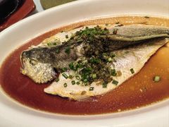 -梦都海鲜酒家(万达广场江桥店)