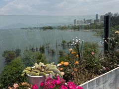 -野菌皇海景野生菌火锅(滨海大道店)