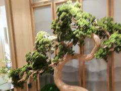 -百姓渔村(南中环店)