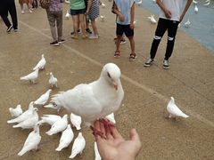 -烟台海昌鲸鲨海洋公园
