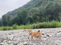 -武家湾旅游区
