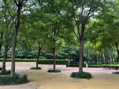 -南翔镇银翔湖公园