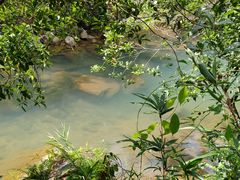 -广州白江湖森林公园