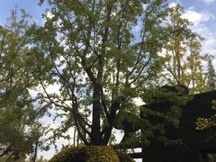 -汇龙潭