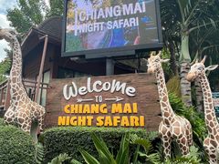 -清迈夜间动物园