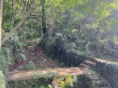 -青龙山国家森林公园