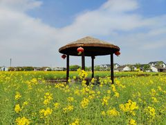 -同里国家湿地公园