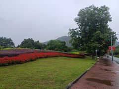 -风云岭森林公园