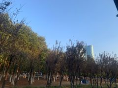 -艾溪湖湿地公园