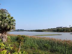 -华侨城湿地公园