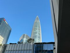 -深圳湾万象城(南山店)