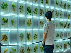 -广东中医药博物馆