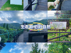 -树山生态村