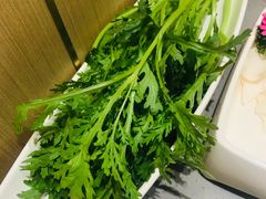 茼蒿-海底捞火锅(杭州萧山宝龙广场店)