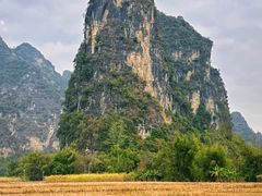 -明仕田园