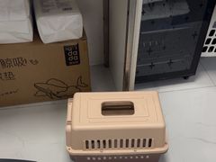 -纳吉亚猫专科动物诊疗中心(蒋宅口分院)