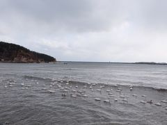-烟墩角天鹅湖