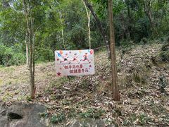 -广州白江湖森林公园