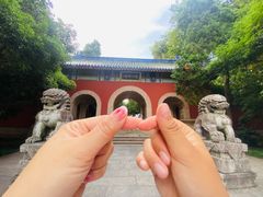 -灵谷景区