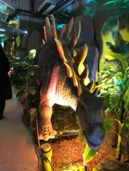 -恐龙探索乐园(磁器口店)