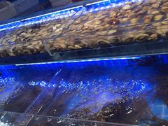 -四囍码头海鲜烧烤自助火锅(外滩南京东路悦荟广场店)