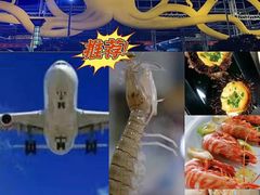 -白沙门生态公园