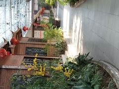 -森谷美食公园(杨行店)