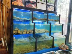 水产区-老东镇啤酒屋海鲜加工·蒸汽海鲜·海鲜烧烤(台东店)